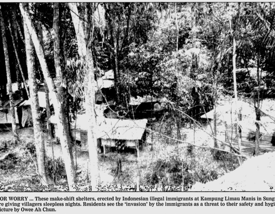 nst-20000212-limaumanis-colony.png