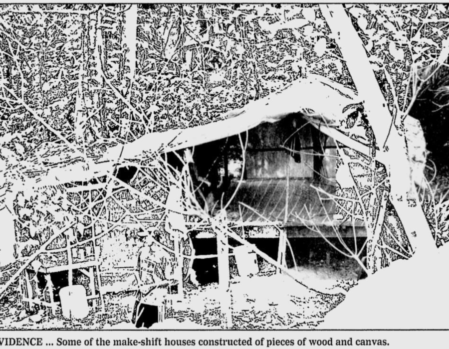 nst-20000212-limaumanis-hotbed-houses.png