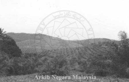 PEMANDANGAN LADANG PRANG BESAR (GOLDEN HOPE), 43000 KAJANG, SELANGOR, 15/11/1994 PEMANDANGAN LADANG PRANG BESAR (GOLDEN HOPE), 43000 KAJANG, SELANGOR, 15/11/1994