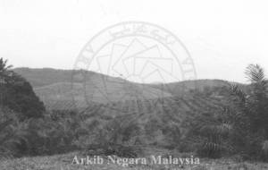 PEMANDANGAN LADANG PRANG BESAR (GOLDEN HOPE), 43000 KAJANG, SELANGOR, 15/11/1994 PEMANDANGAN LADANG PRANG BESAR (GOLDEN HOPE), 43000 KAJANG, SELANGOR, 15/11/1994