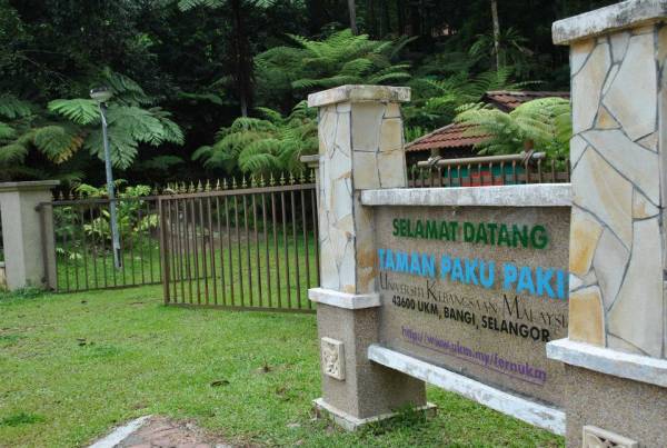 Taman Paku Pakis