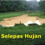 tasikghazali-2014-selepashujan.png