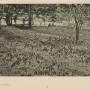 189781.jpg