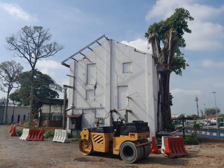 Pohon besar di sebelah barat