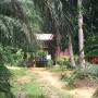 bukit-tunggul-unnamed.jpg