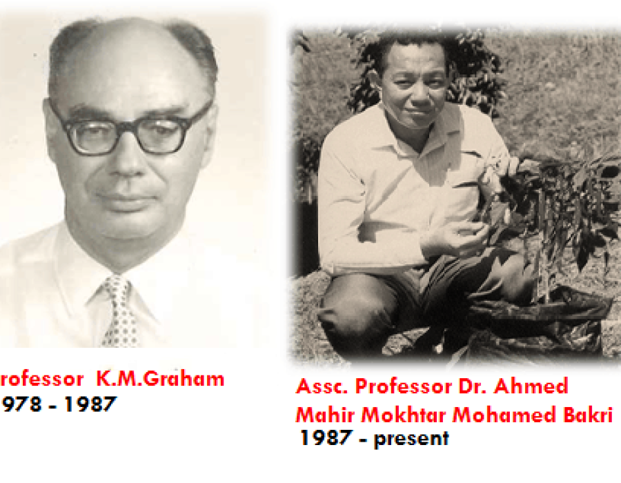 cilibangi-history-1.png