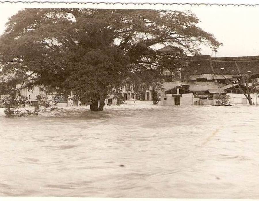 copy_of_flood14.jpg