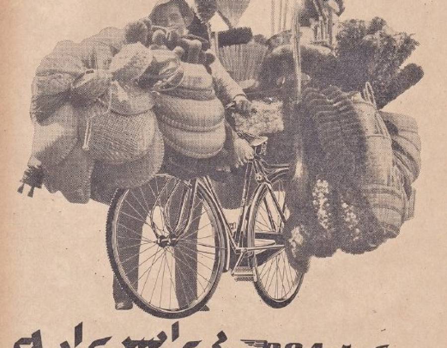cycles_pg17_bsa.transformed.jpg