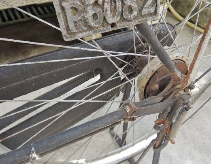cycles_pg17_plate.transformed.jpg