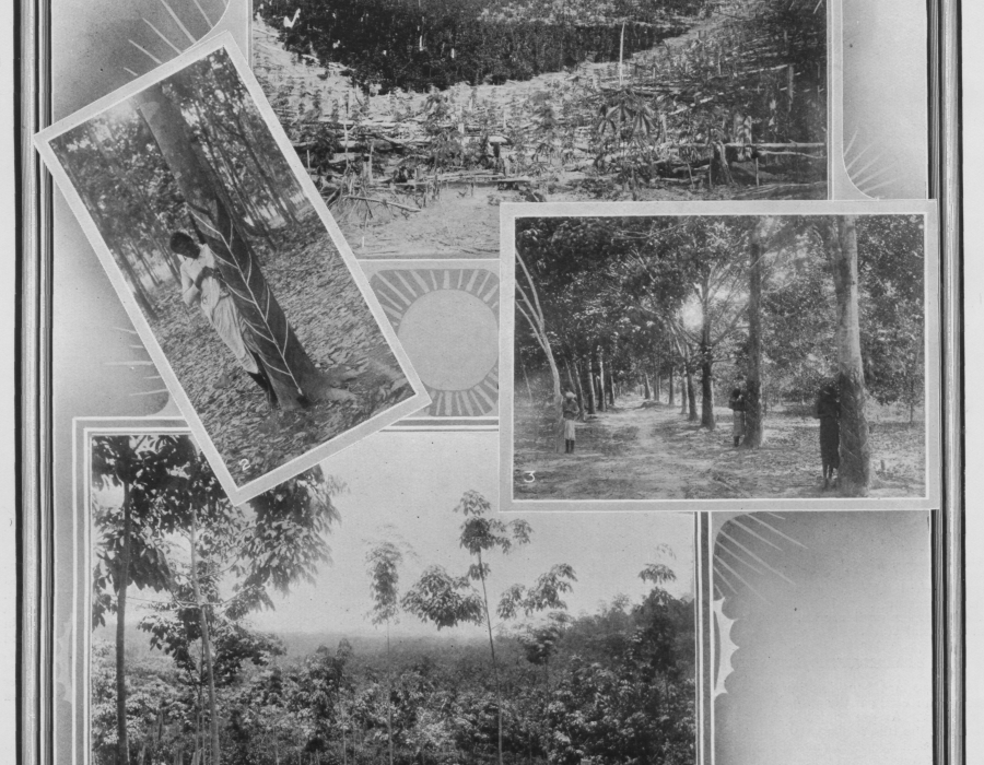 fms-estates-1908.png