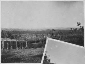 FMS Estates general view FMS Estates general view