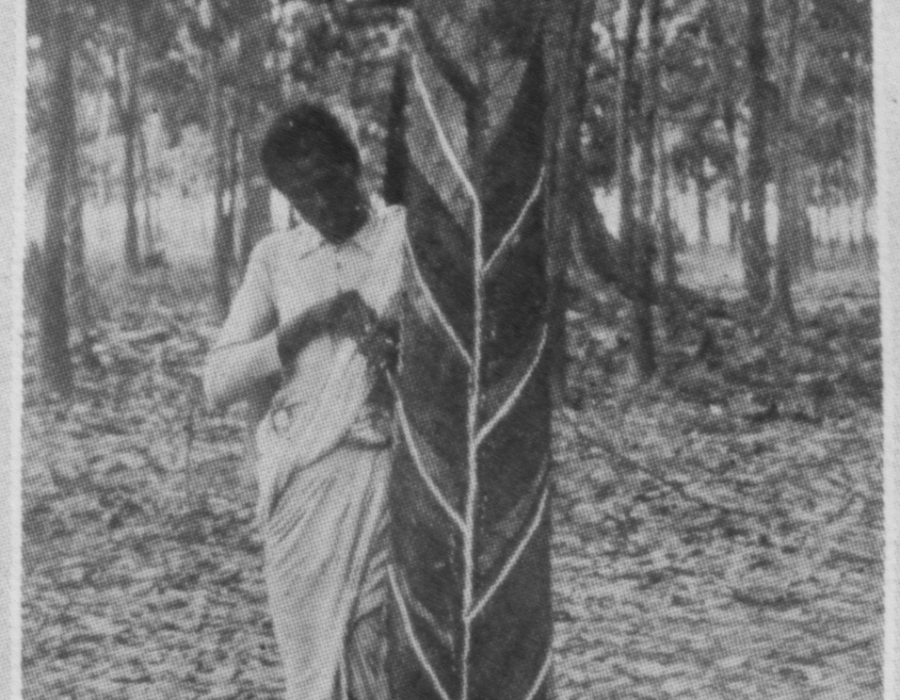 fmsestates-tapping-1908.png