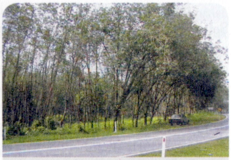 Kawasan petempatan asal Kampung Sungai Buah Kawasan petempatan asal Kampung Sungai Buah