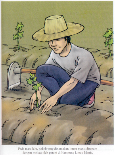 Kebun Limau Manis Kebun Limau Manis