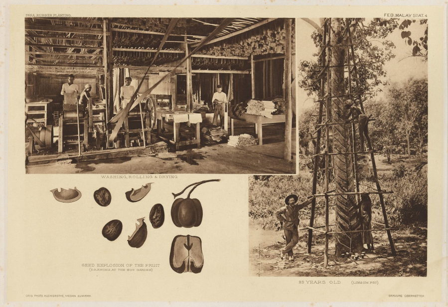 kleingrothe-pararubber-washing.png