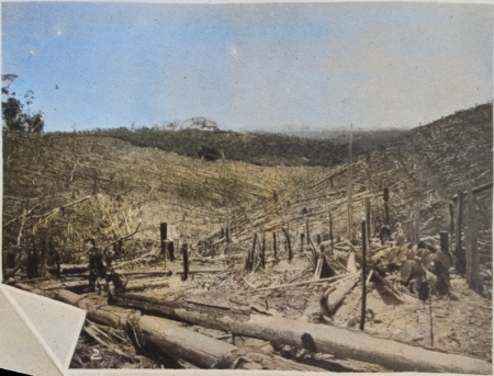11. Ladang Belmont