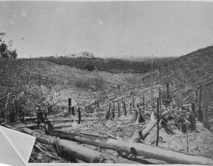 ladang-belmont-1908-02.png