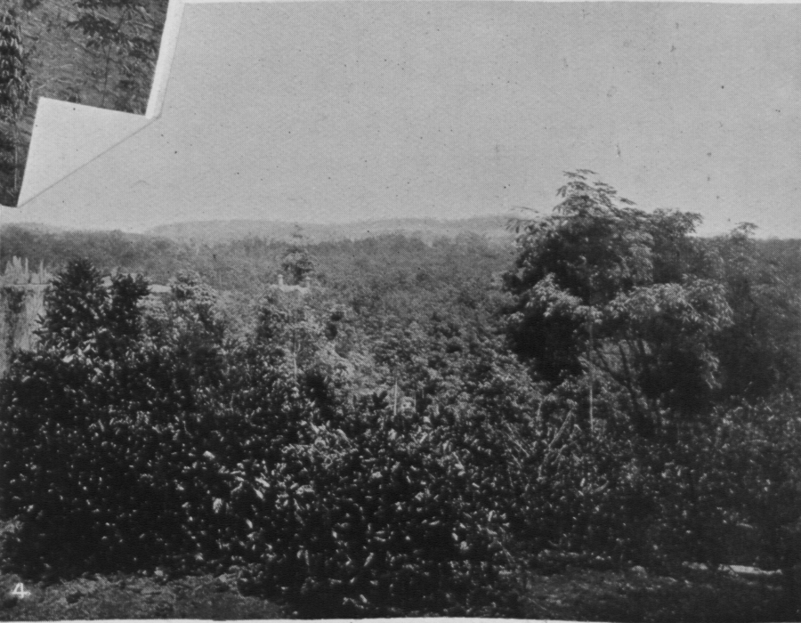 ladang-westcountry-belmont-1908.png